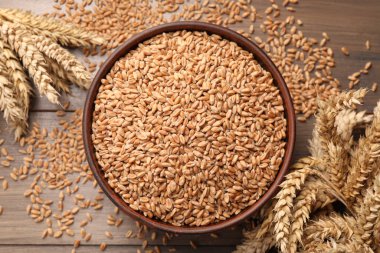 Wheat grains in bowl and spikes on wooden table, flat lay