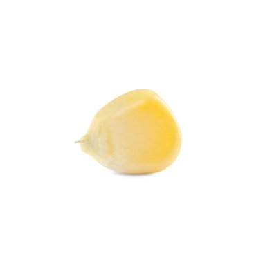Tasty fresh corn kernel isolated on white
