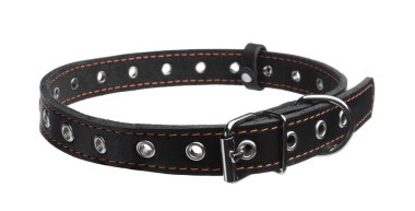 Black leather dog collar isolated on white