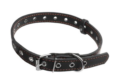 Black leather dog collar isolated on white