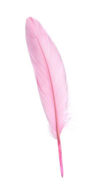 Fluffy beautiful pink feather isolated on white
