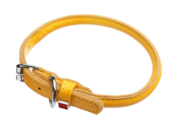 Yellow leather dog collar isolated on white