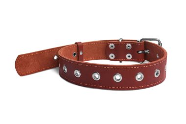 Brown leather dog collar isolated on white
