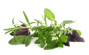 Beyaz arka planda çeşitli taze aromatik otlar