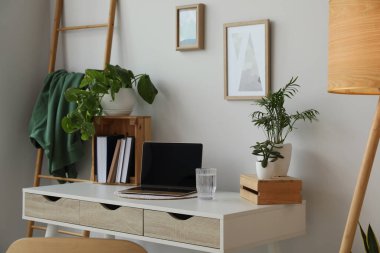 Home office interior with different beautiful houseplants