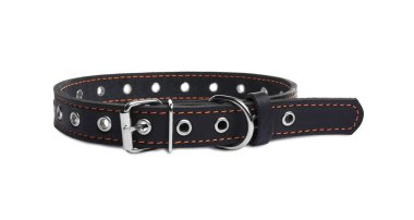 Black leather dog collar isolated on white