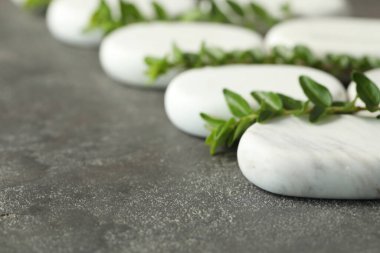 Spa stones and branches of plant on grey table, closeup. Space for text