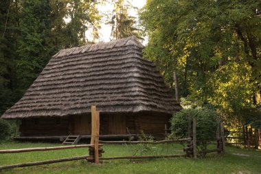 Old wooden hut with straw roof behind fence in forest