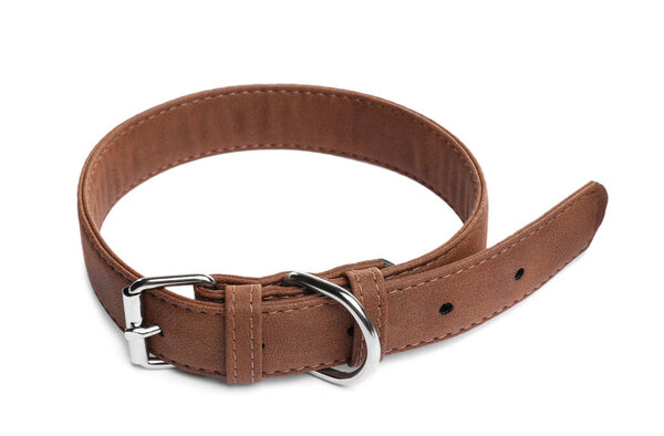 Brown leather dog collar isolated on white