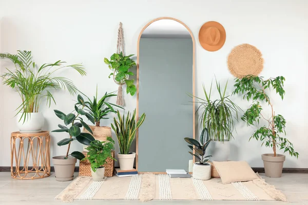 Stylish full length mirror and different houseplants near white wall in room