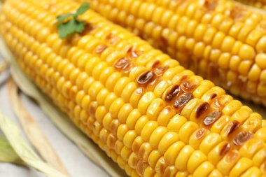 Delicious grilled sweet corn cobs on light background, closeup
