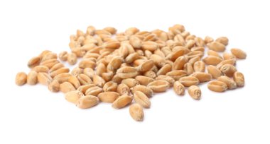 Pile of wheat grains on white background