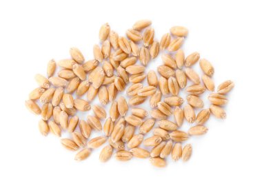 Pile of wheat grains on white background, top view