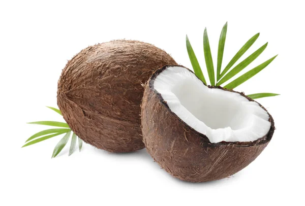 Fresh Ripe Coconuts Palm Leaves Isolated White — Photo