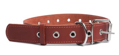 Brown leather dog collar isolated on white