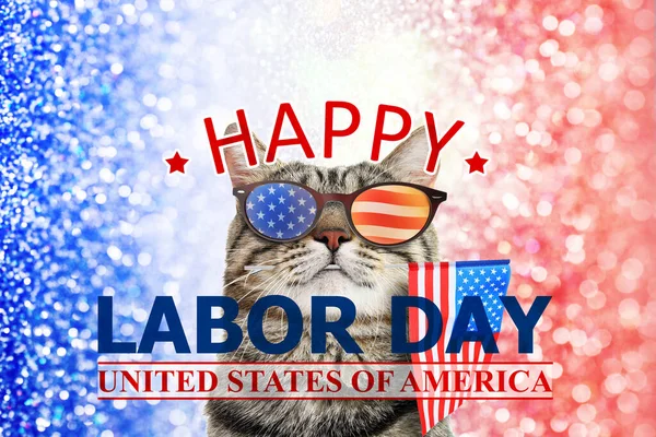 Happy Labor Day Cute Cat Sunglasses American Flag Shiny Festive — Fotografia de Stock