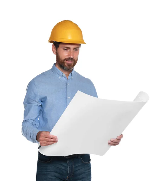 Professional Engineer Hard Hat Draft Isolated White — 스톡 사진