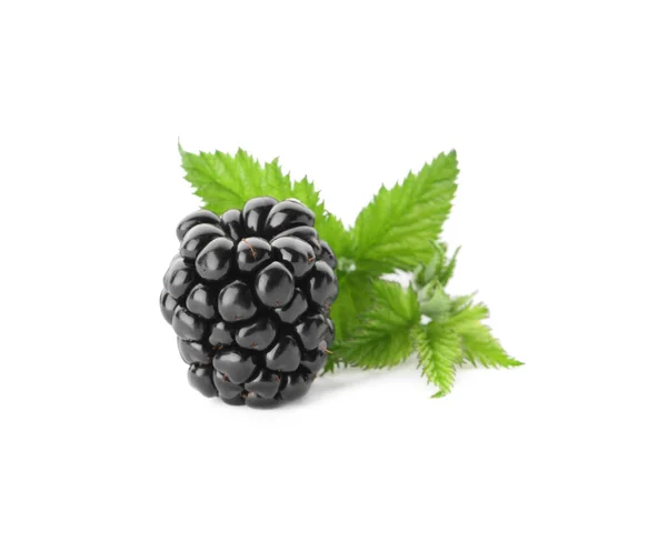 Tasty Ripe Blackberry Leaves White Background — 스톡 사진