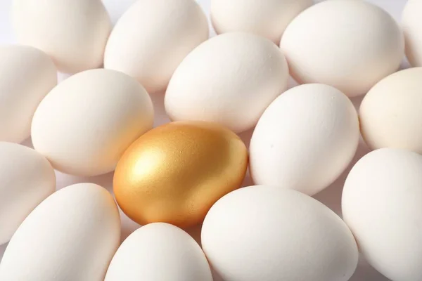 Χρυσό Αυγό Μεταξύ Των Απλών Λευκό Φόντο — Φωτογραφία Αρχείου