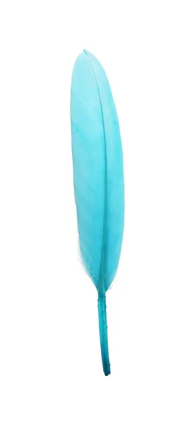 Beautiful Light Blue Feather Isolated White — Stock Photo, Image