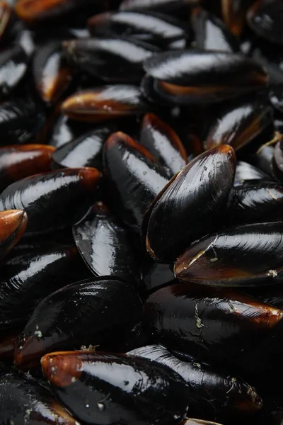 Heap Raw Mussels Shells Background Closeup — Stock Photo, Image