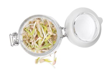Mung bean sprouts in glass jar isolated on white, top view