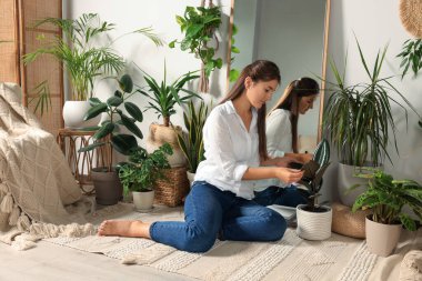 Young woman with different houseplants sitting near mirror in room