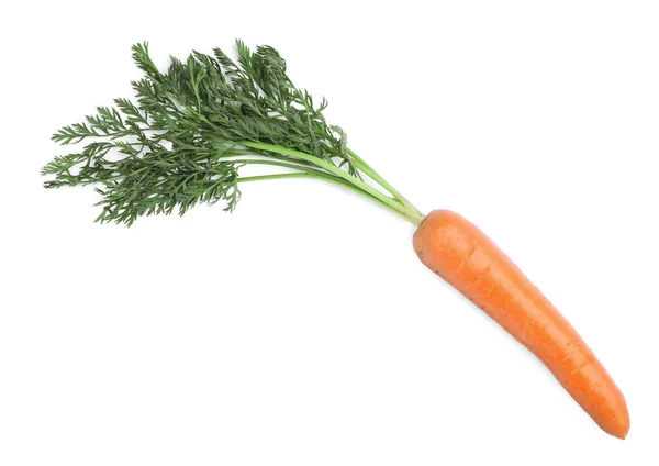 Tasty Ripe Organic Carrot Isolated White Top View — Stok Foto