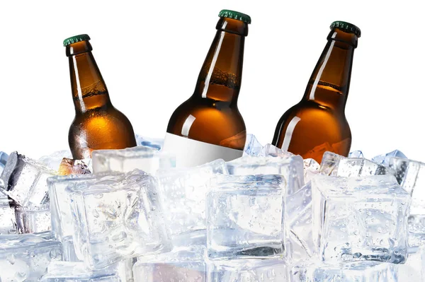 Butelki Piwa Kostkach Lodu Białym Tle — Zdjęcie stockowe