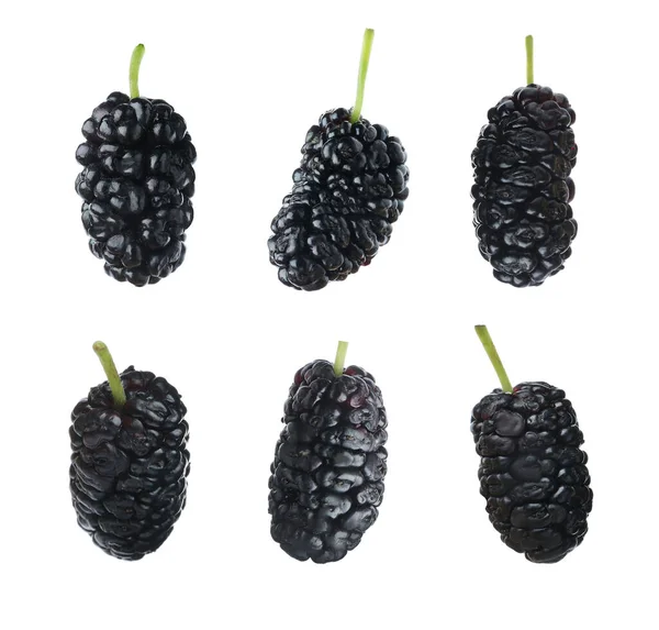 Set Fresh Ripe Black Mulberries White Background — Stock Photo, Image