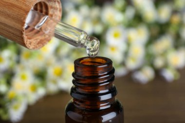 Dripping chamomile essential oil from pipette into bottle on blurred background, closeup