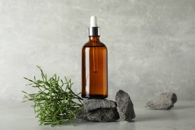 Açık gri masada bir şişe hidrofilik yağ, kaya ve yeşil bitki.