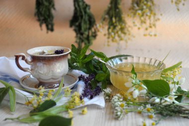 Cup of hot aromatic tea, honey and different fresh herbs on white wooden table