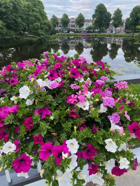 View of beautiful flowers on bridge over water