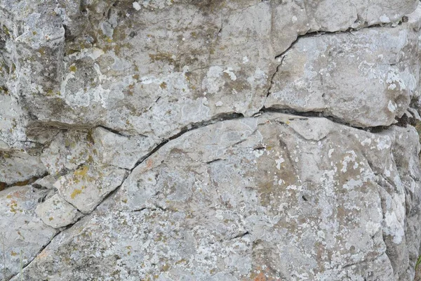 Closeup View Stone Covered Lichen Background — Fotografia de Stock