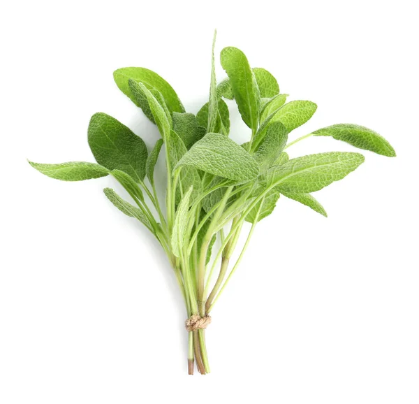 Bunch Aromatic Fresh Sage Leaves White Background Top View — Stockfoto