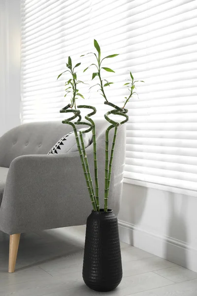 Vase Green Bamboo Stems Sofa Living Room Interior — Photo