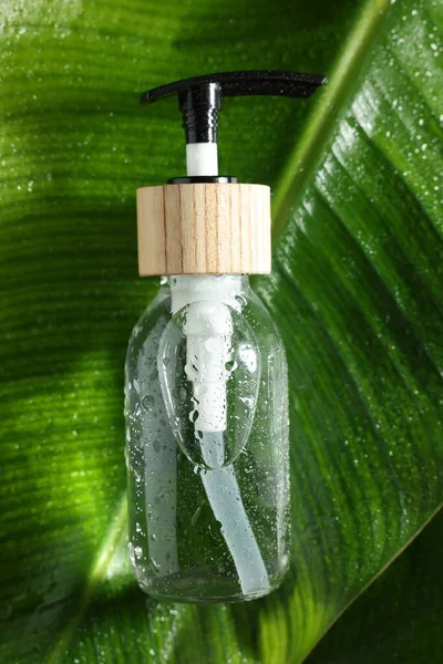 Bottle Cosmetic Product Wet Green Leaf Top View — Stockfoto
