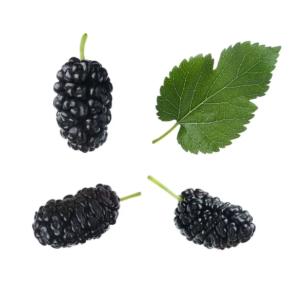 Fresh Ripe Black Mulberries Leaf White Background — Fotografia de Stock