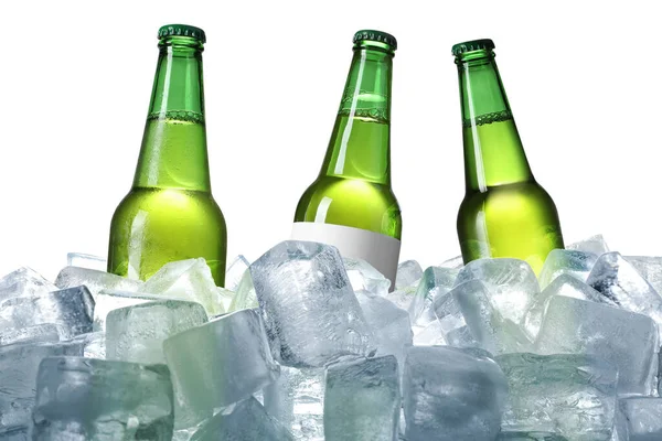 Bierflaschen Auf Eiswürfeln Vor Weißem Hintergrund — Stockfoto