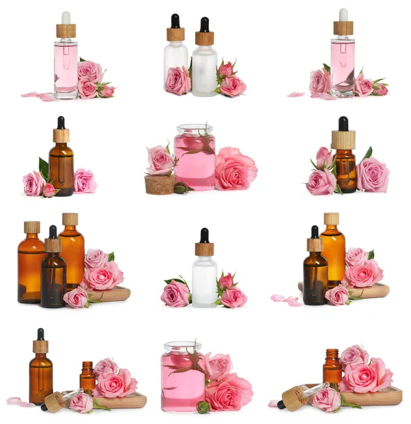 Set Bottles Essential Rose Oil Flowers White Background — Fotografia de Stock