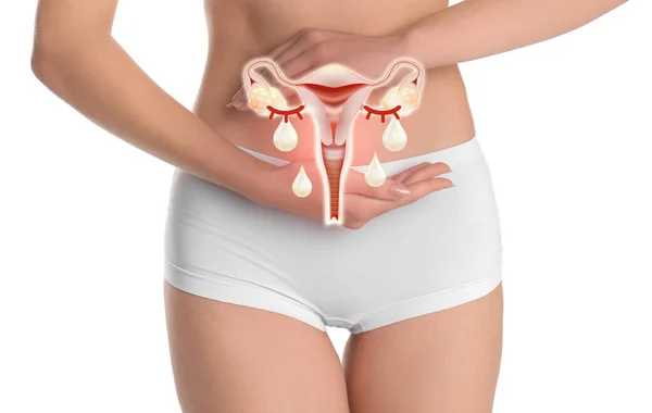 Woman Holding Virtual Image Female Reproductive System White Background Vaginal — Zdjęcie stockowe