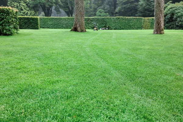Beautiful Freshly Cut Green Lawn Park — стоковое фото