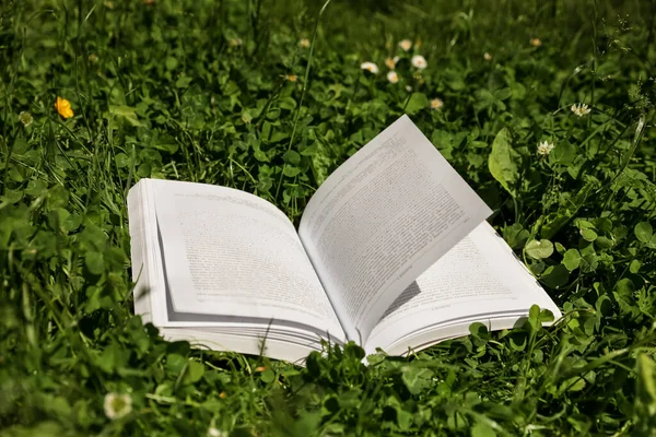 Open Book Beautiful Green Meadow Sunny Day — Stock Fotó