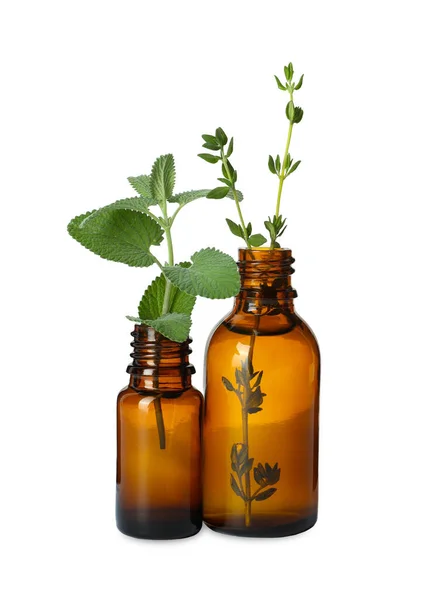 Bottle Essential Oil Mint Thyme Isolated White — Stock Fotó