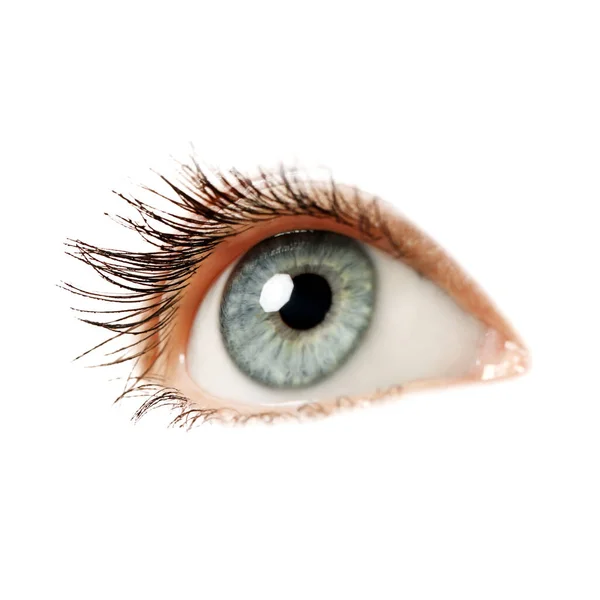 Beautiful Human Eye Isolated White Closeup — Stock Photo, Image