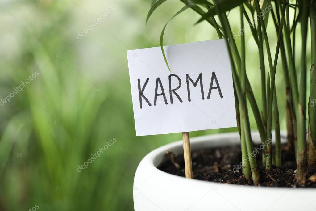 Sign with word Karma and plant in pot on blurred background, closeup. Space for text