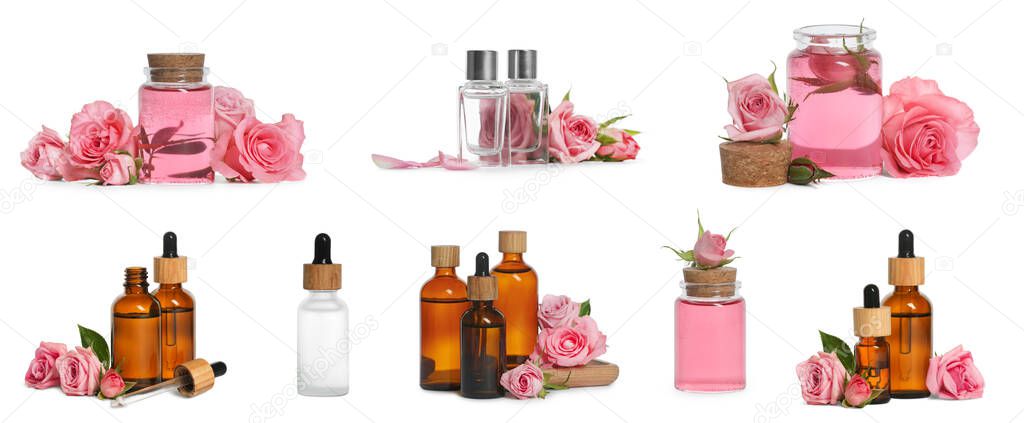 Set with bottles of essential rose oil and flowers on white background. Banner design
