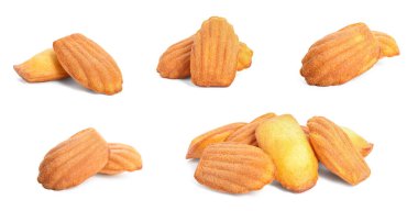 Set with delicious madeleine cakes on white background