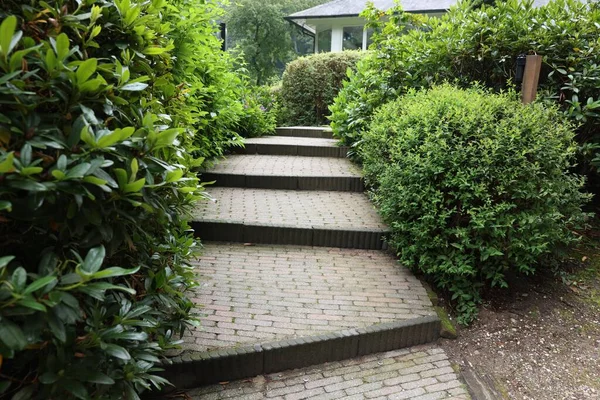 Lovely Garden Green Shrubbery Paved Stairs Landscape Design — стоковое фото